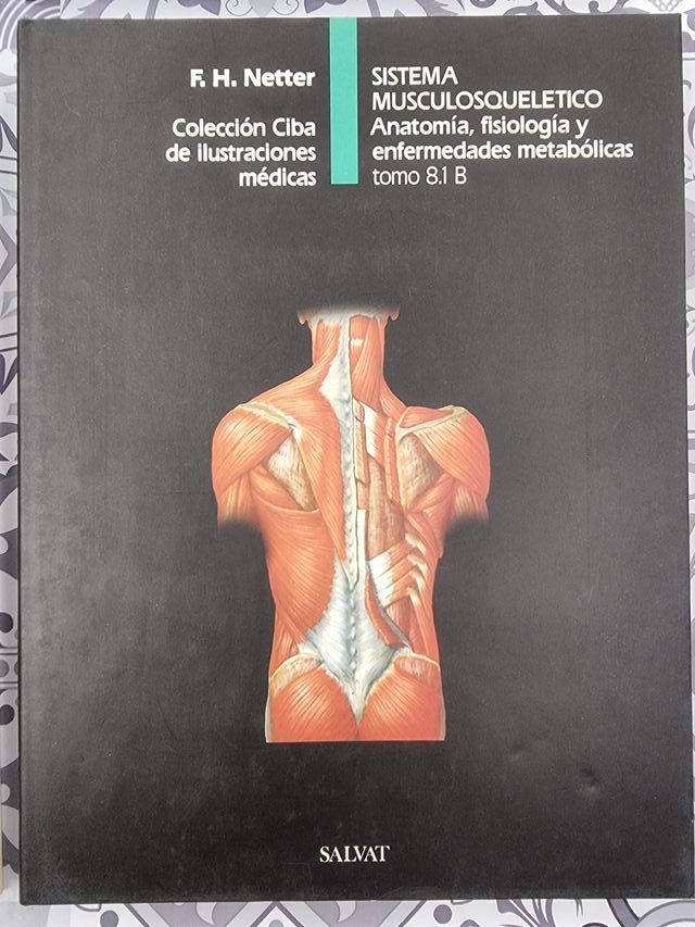 SISTEMA MUSCULOSQUELETICO