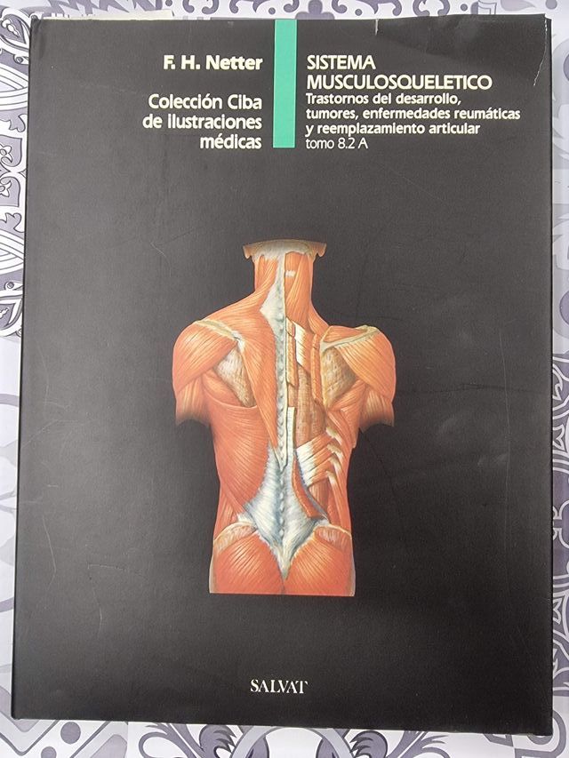 SISTEMA MUSCULOSQUELETICO