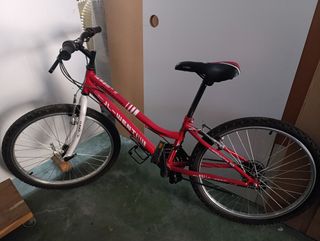Bicicleta montaña JL-WENTI Arroyo