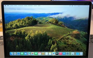 PANTALLA MACBOOK PRO 13 A2251 GRIS ESPACIAL #59