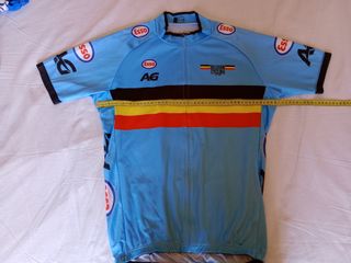 Lote 2 maillots selección Bélgica ciclismo