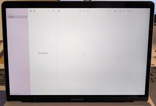 PANTALLA MACBOOK PRO 13 A2251 GRIS #R66 116