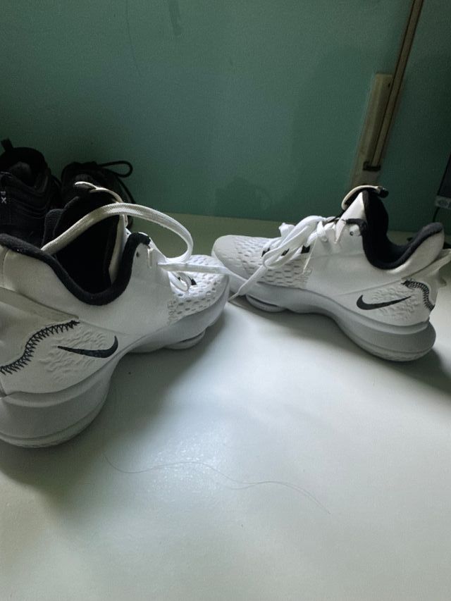 Zapatillas Nike LeBron Witness V Blancas