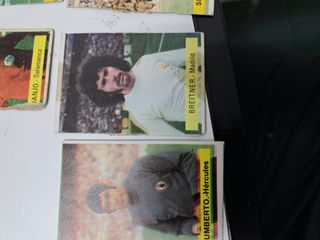 Cromos Fútbol 74/75 - Sanber