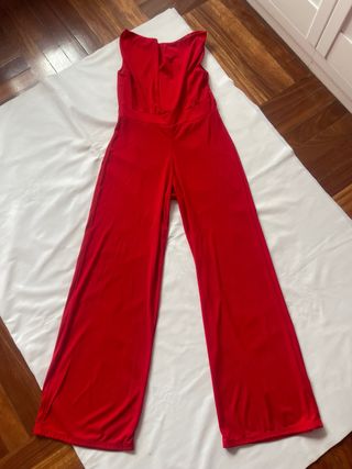 Mono rojo elegante