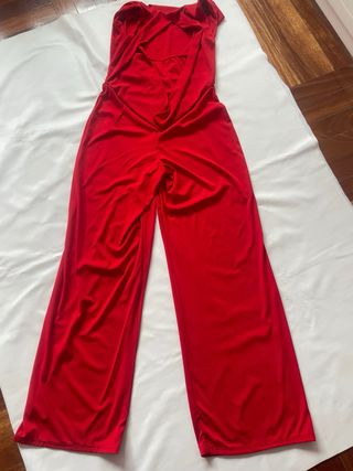 Mono rojo elegante