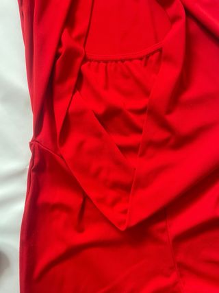 Mono rojo elegante