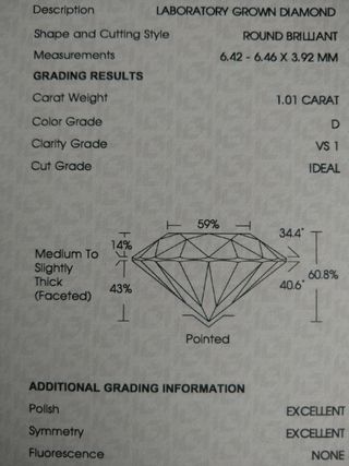 Pendientes martini diamante 2x1ct. VS1 D titanio