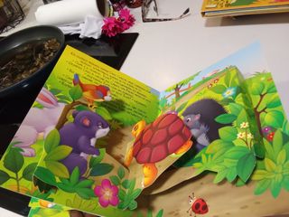 Happy pop-ups: O coelho tolo