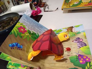 Happy pop-ups: O coelho tolo