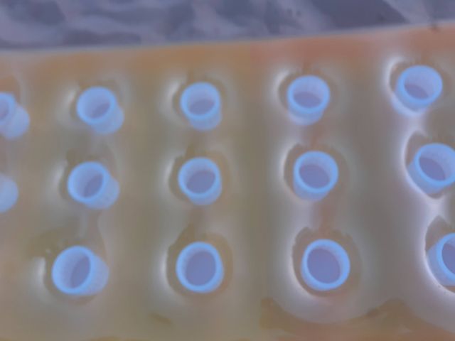 Colchonetas piscina: flotador naranja