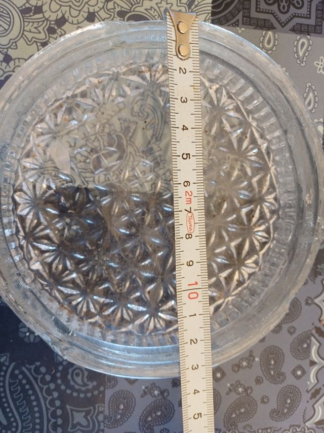 3 Plafones de cristal vintage Se venden por unidad