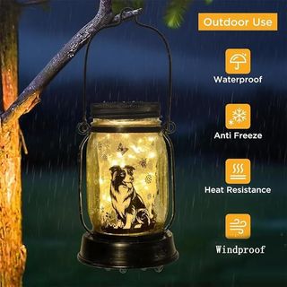 ZIONYA Lámpara Solar Border Collie 3en1 IP65