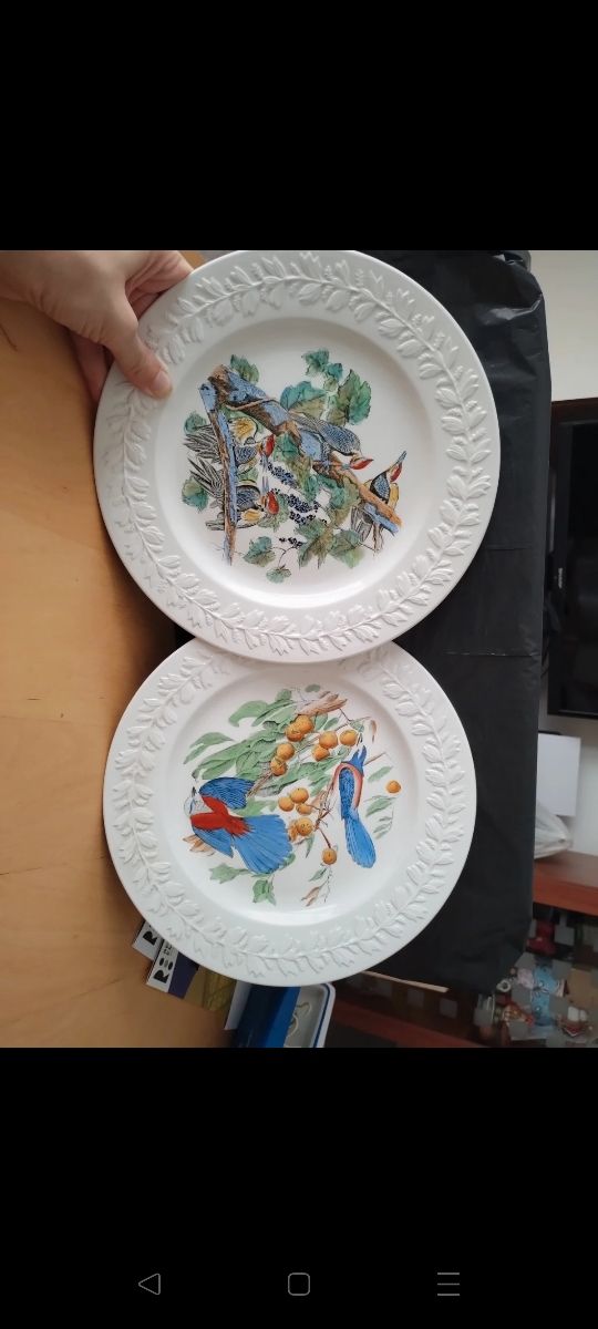 2 Piatti serie Birds of America