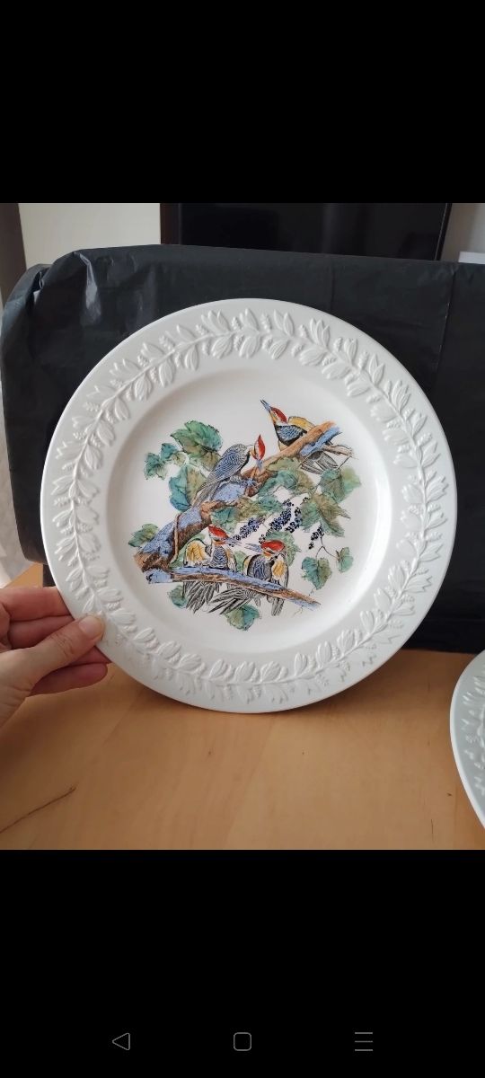 2 Piatti serie Birds of America