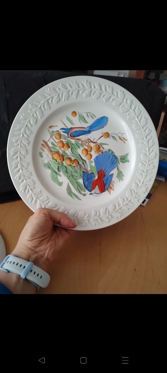 2 Piatti serie Birds of America