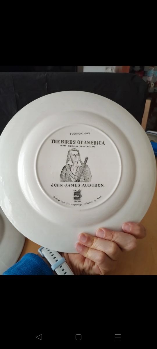 2 Piatti serie Birds of America