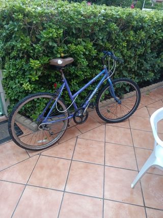 Bicicleta para niña - otra de  paseo.