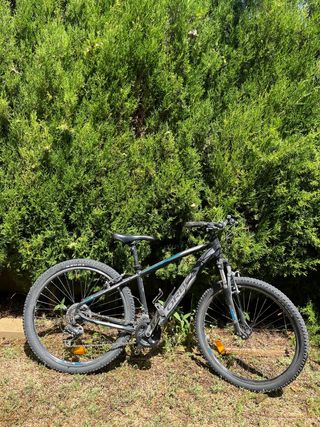 Bicicleta Orbea MX 40 montaña
