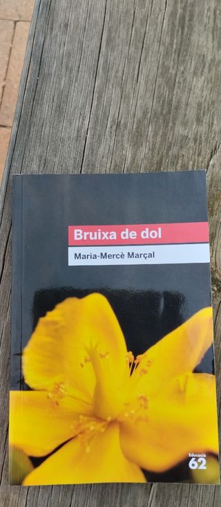 Bruixa de dol (1977-1979)