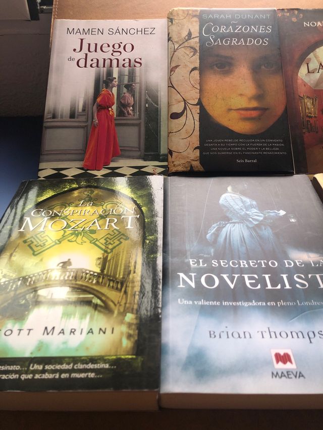 El secreto de la novelista: una valiente invest...