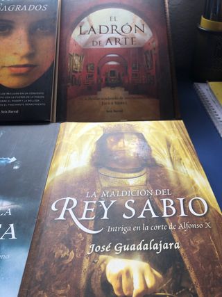 El secreto de la novelista: una valiente invest...