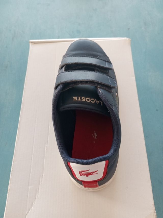 Zapatillas Lacoste niño - Talla 34
