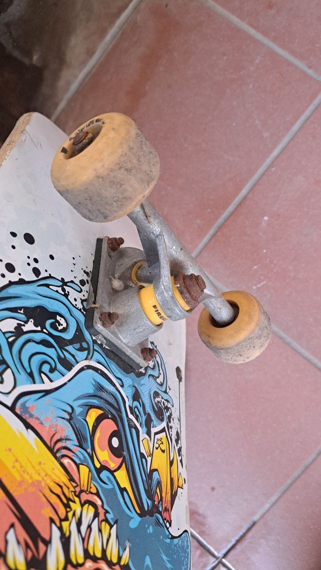 Skateboard usato Firefly
