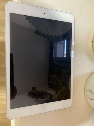 iPad mini 2 Plata - 12.5.7