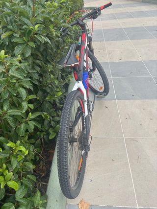 Bicicleta montaña: ¡Impecable!  