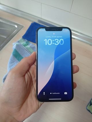 iPhone 12 Pro 256GB - Gris Espacial