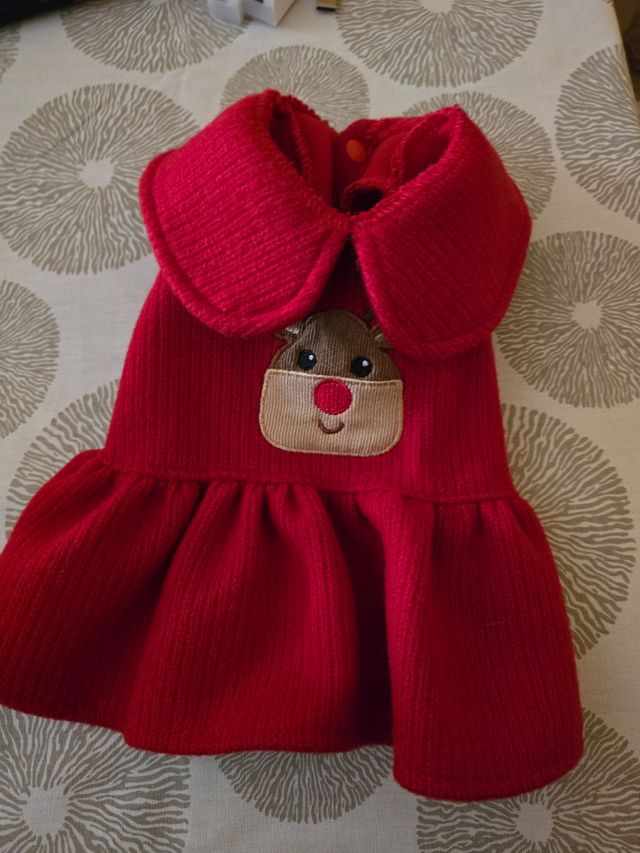 Vestido rojo perrito navideño