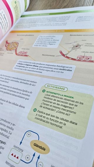 BIOLOGIA, GEOLOGIA Y CIENCIAS AMBIENTALES 1 BTO...