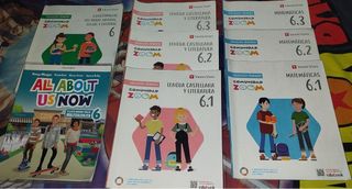 Lote libros 6 primaria 