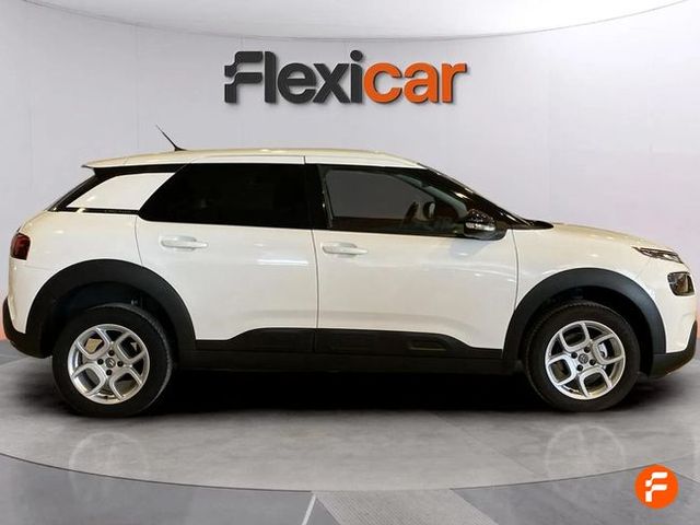 Citroën C4 Cactus BlueHDi 100 S&S Live