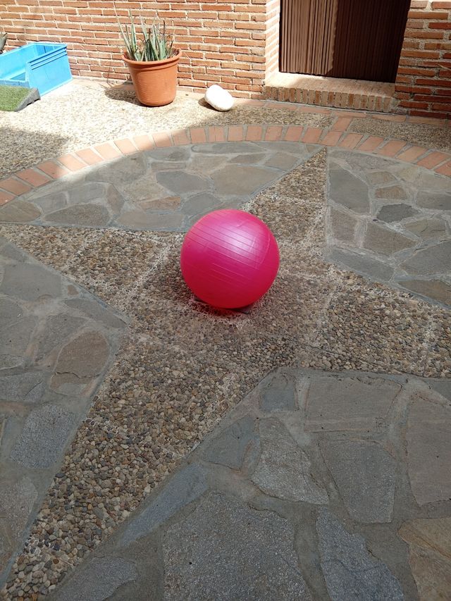 Balón pilates rosa
