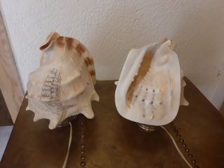 2 Lámparas conchas marinas
