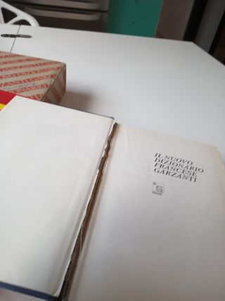 Il Nuovo Dizionario Francese Garzanti
