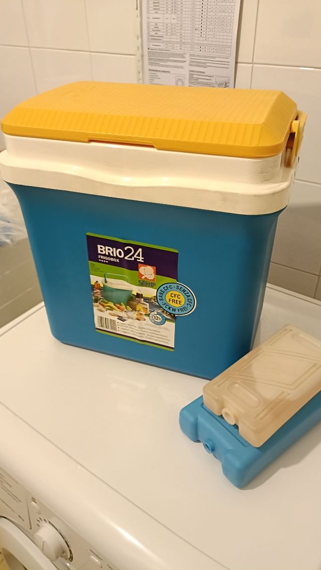 Frigo portatile giallo vintage