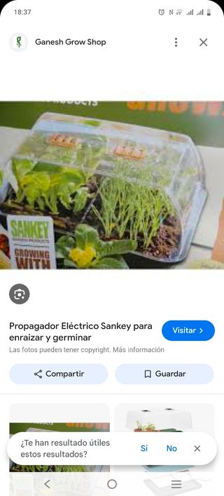 Propagador Sankey: Enraizar y Germinar