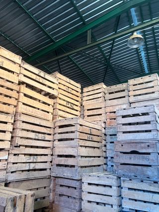 Cajas madera - envío