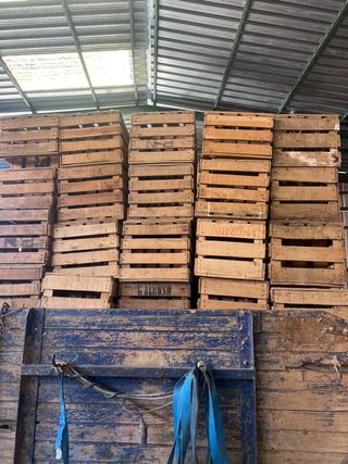 Cajas madera - envío