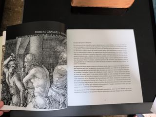 Dürer i el seu temps (Historia del grabado)