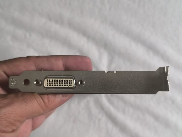 Tarjeta gráfica NVIDIA Quadro NVS 290