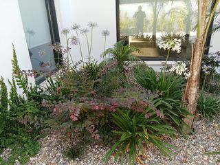 Jardinero profesional.todo tipo de trabajo