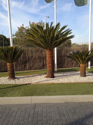 Jardinero profesional.todo tipo de trabajo