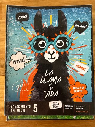 Proyecto: FanFest. Conocimiento del medio 5. Tr...