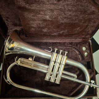 Fliscorno Yamaha YFH2310S