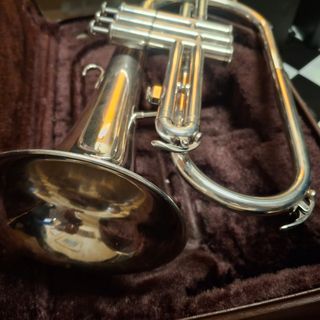 Fliscorno Yamaha YFH2310S