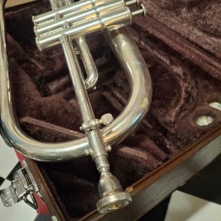 Fliscorno Yamaha YFH2310S